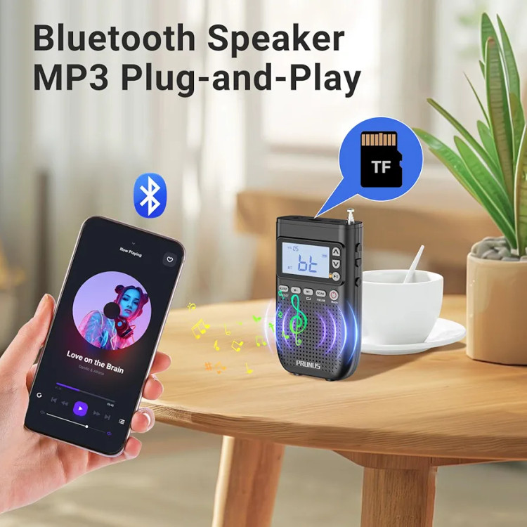 رادیو PRONUS J-618